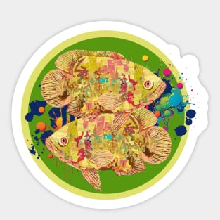 Arty Albino Oscar Fish Sticker